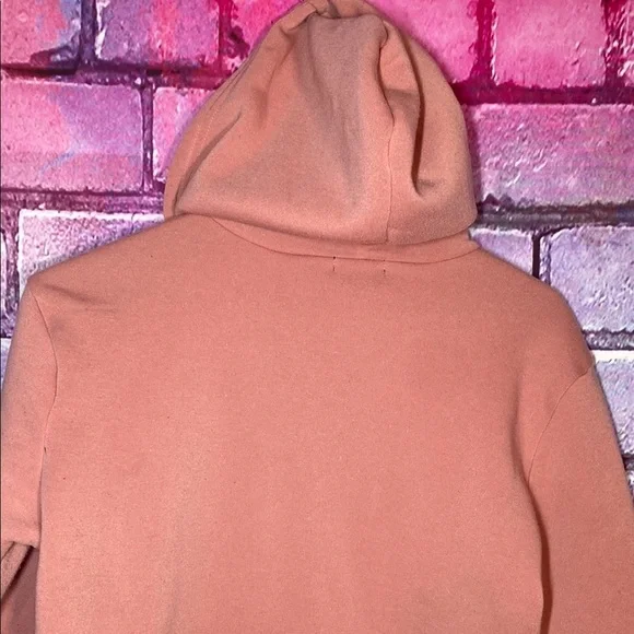 Women's Pink Hoodie - "Never Give Up" Size Large Cropped Love Streak Sweatshirt - Picture 4 of 6